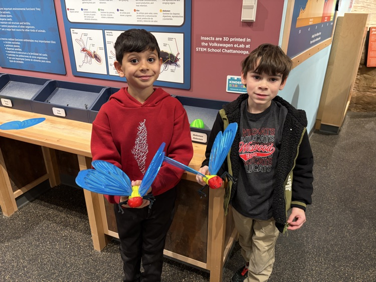 Students holding plastic handmade insects 