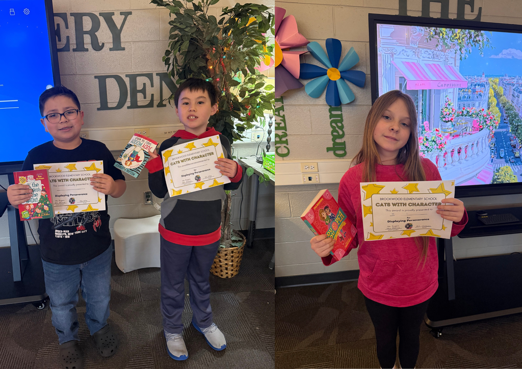 January Cats with Character