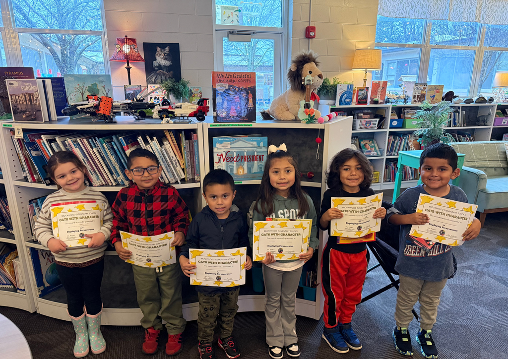 January Cats with Character