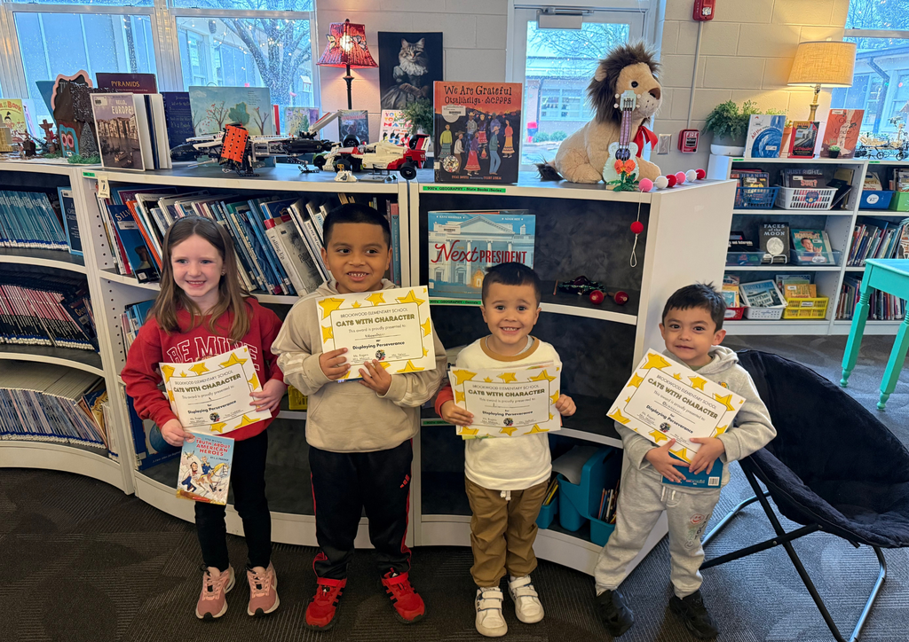 January Cats with Character