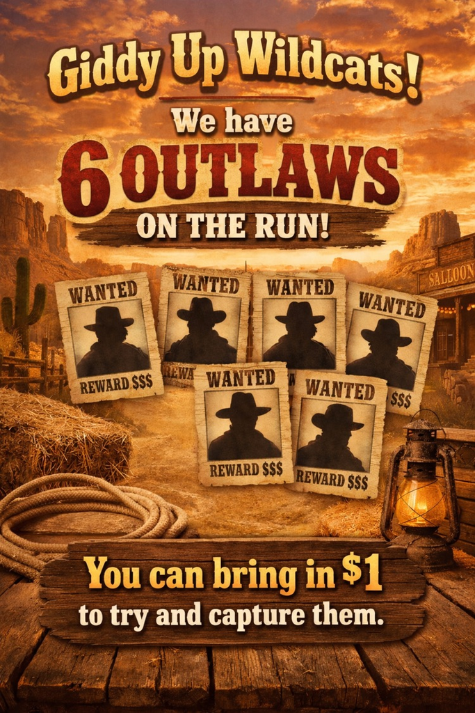Round Up Outlaws Graphic 