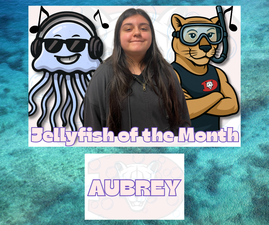 Jellyfish of the Month Aubrey