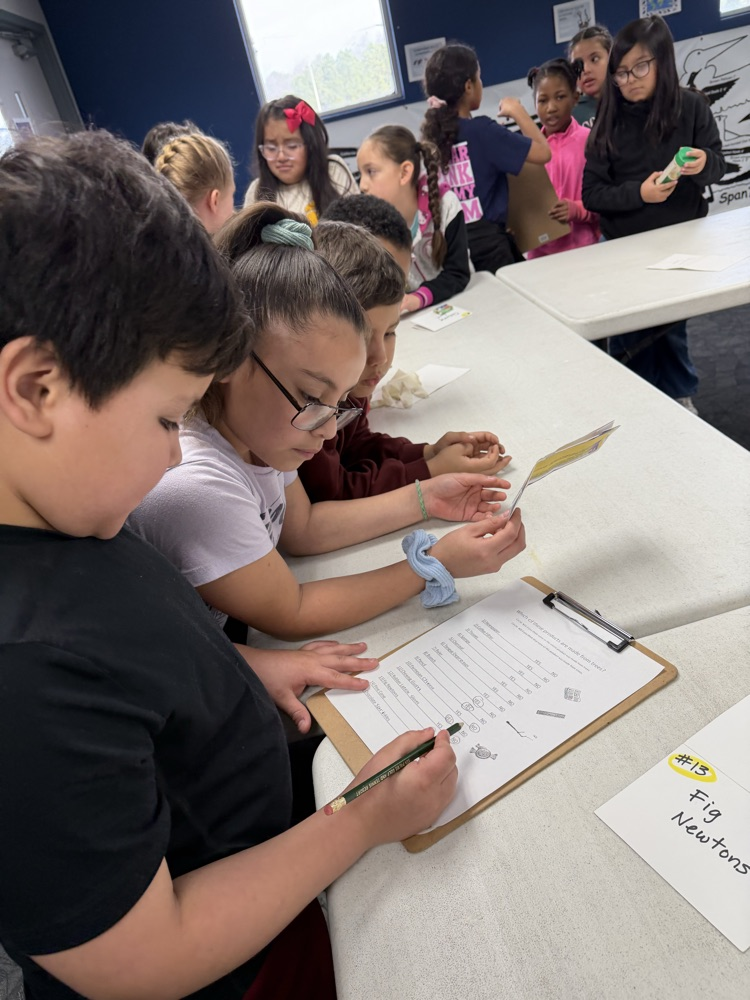 Students learning about what product are made from trees