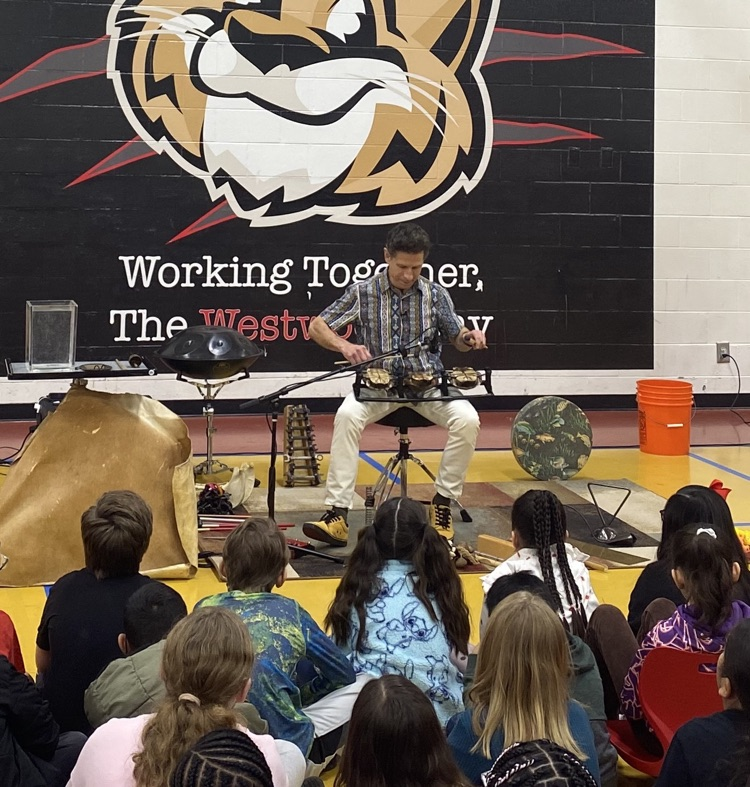 The presenter playing instruments 