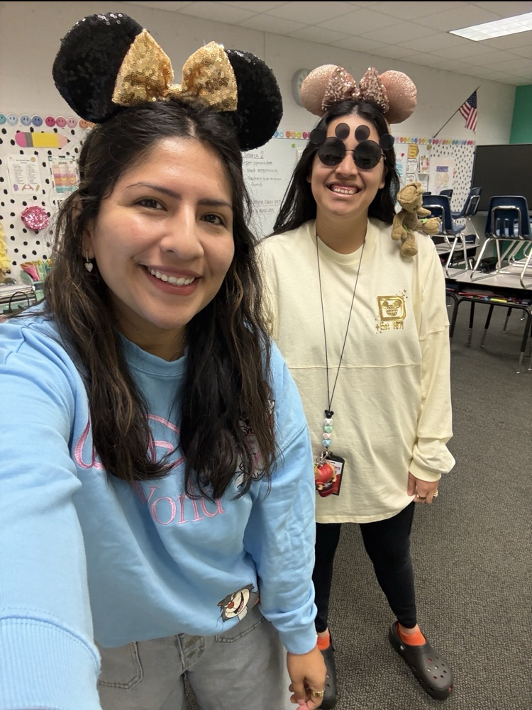 Disney tourist day