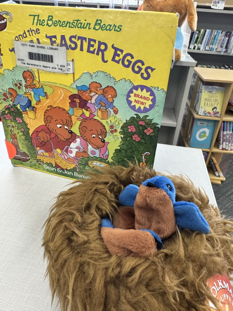  library book display 