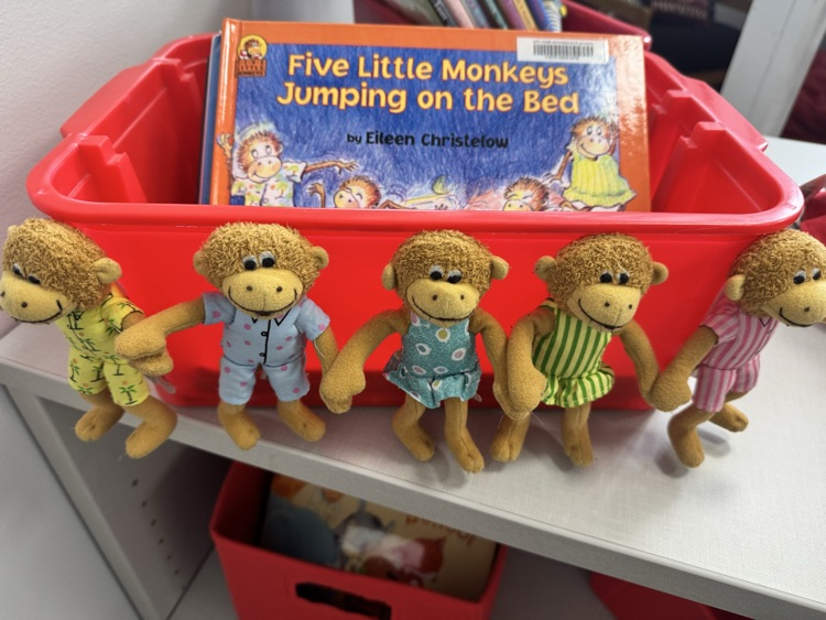 library book display 