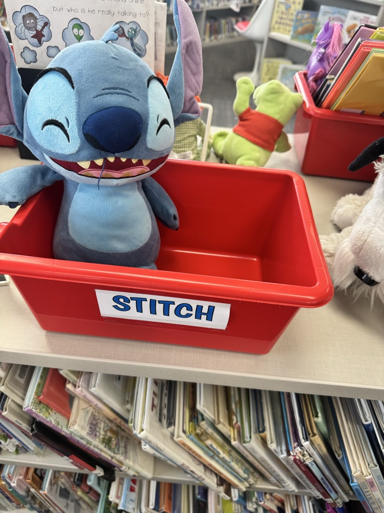 library book display 