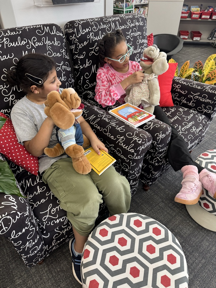 library book display 