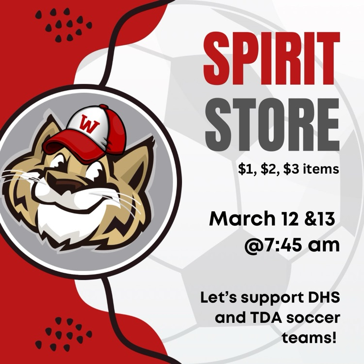 Spirit Store Flyer-English 