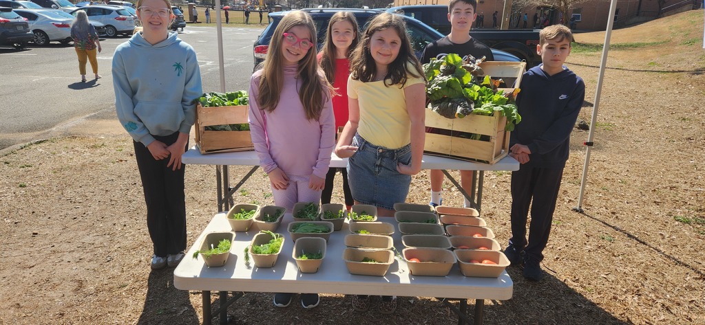 students working at the farmers market