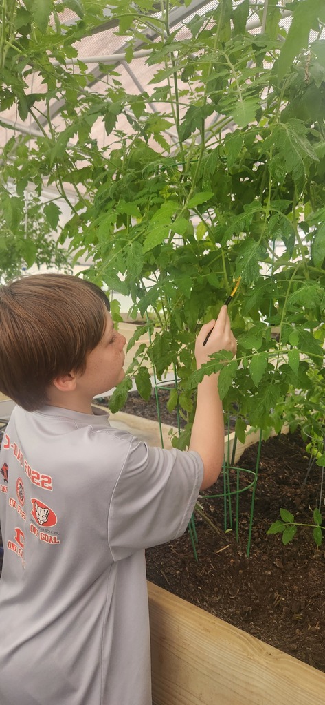 students working at the farmers market