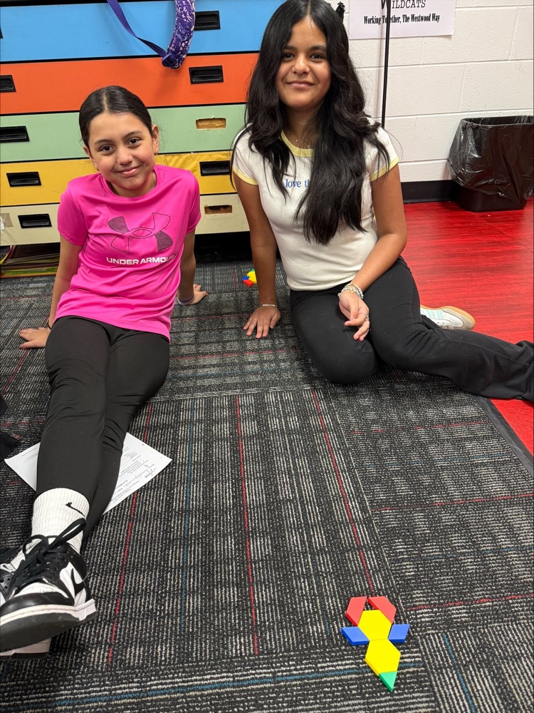 Students with their pattern block design 