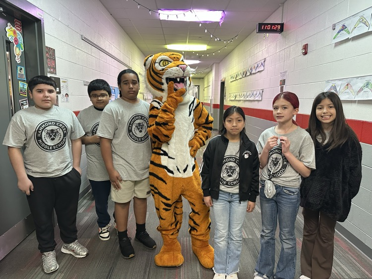 Tiger tour photo 