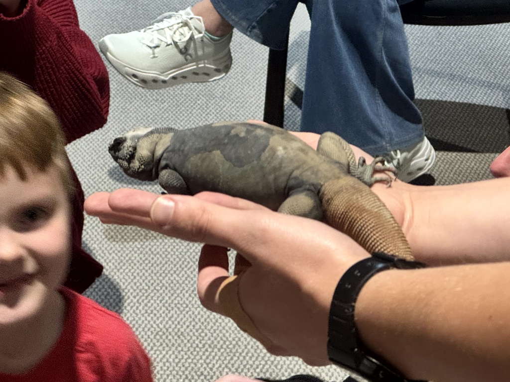 Chattanooga Zoo to You Experience Photograph 