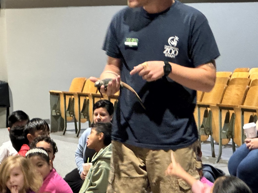 Chattanooga Zoo to You Experience Photograph 