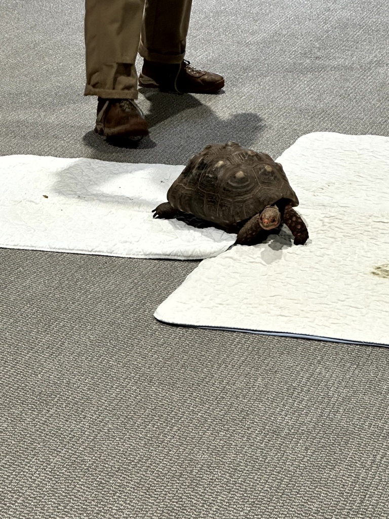 Chattanooga Zoo to You Experience Photograph 