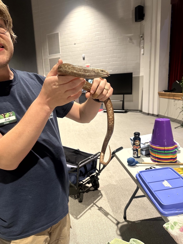 Chattanooga Zoo to You Experience Photograph 