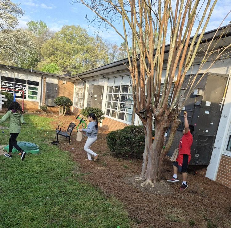 Students finding eggs in the courtyard 