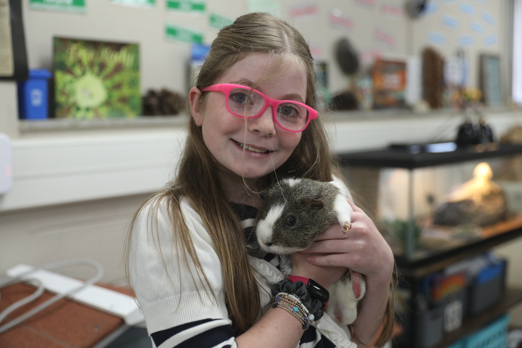 A young girl holds a guinea pig.