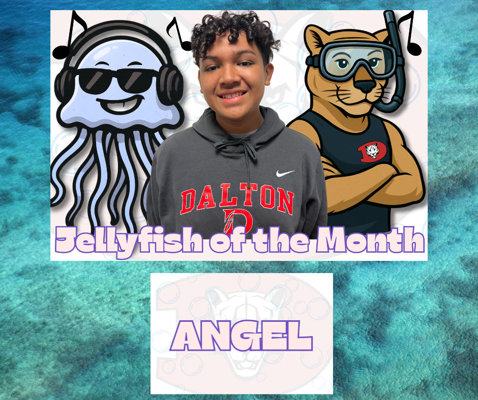 Jellyfish of the Month Angel