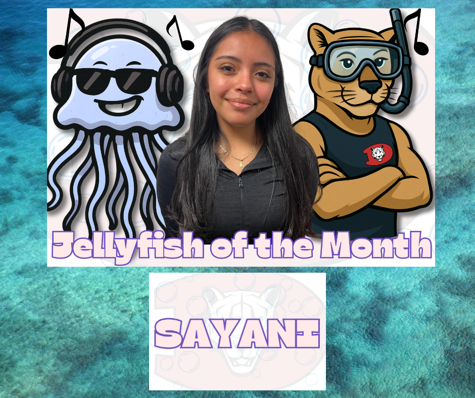 Jellyfish of the Month Sayani