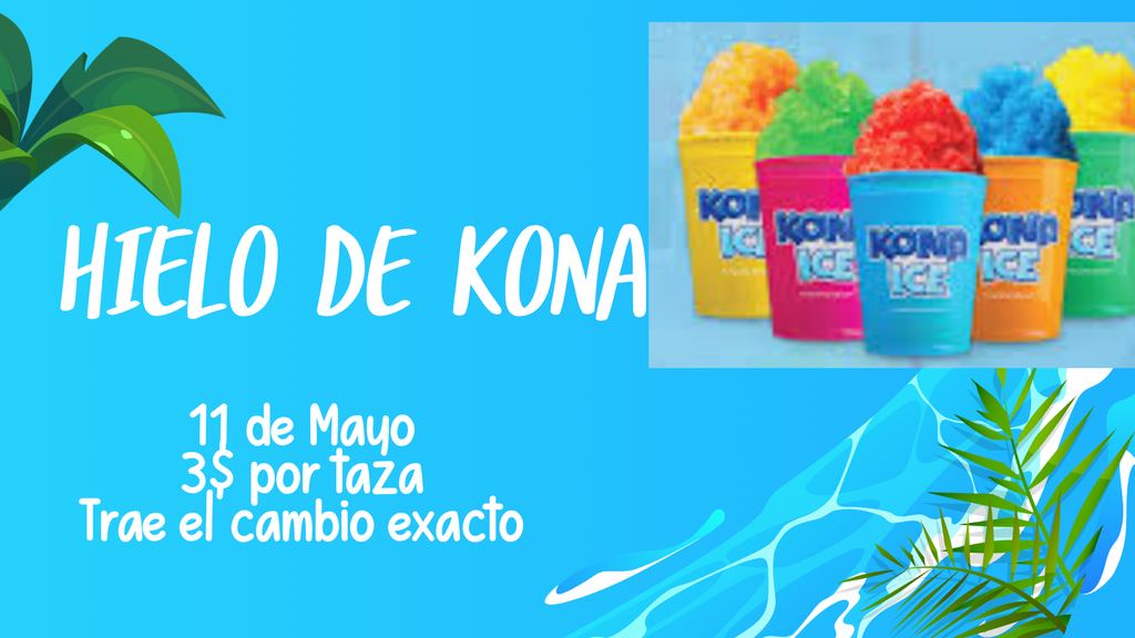 Kona Ice Flyer 