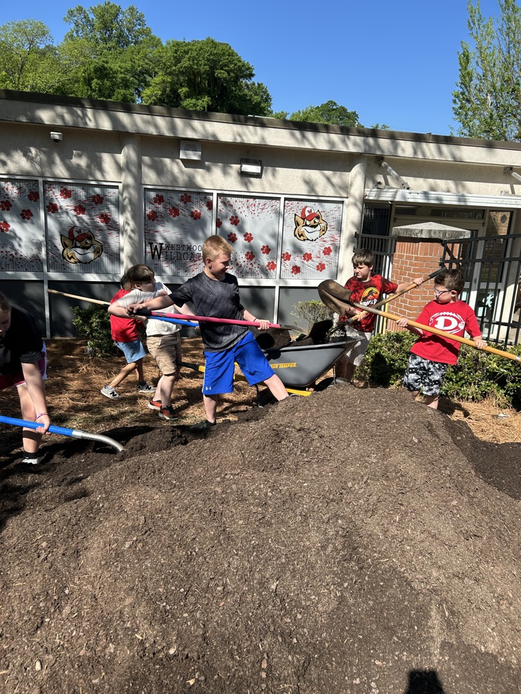 Students shoveling dirt 