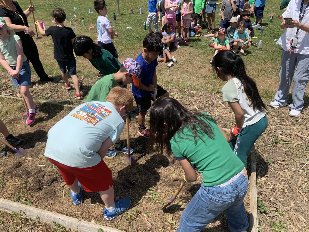 students cleaning out garden beds
