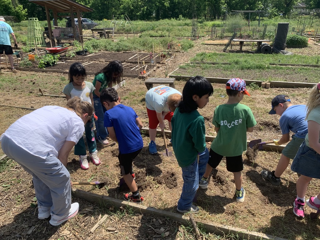 students cleaning out garden beds
