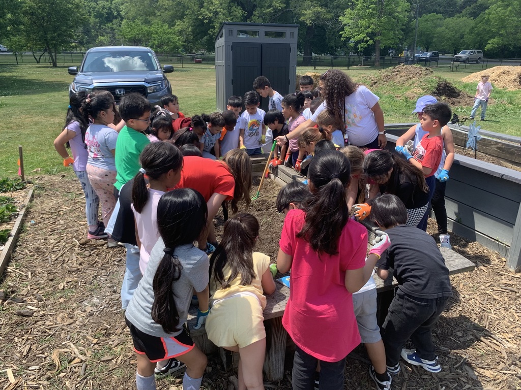 students cleaning out garden beds