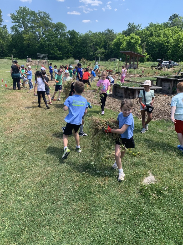 students cleaning out garden beds