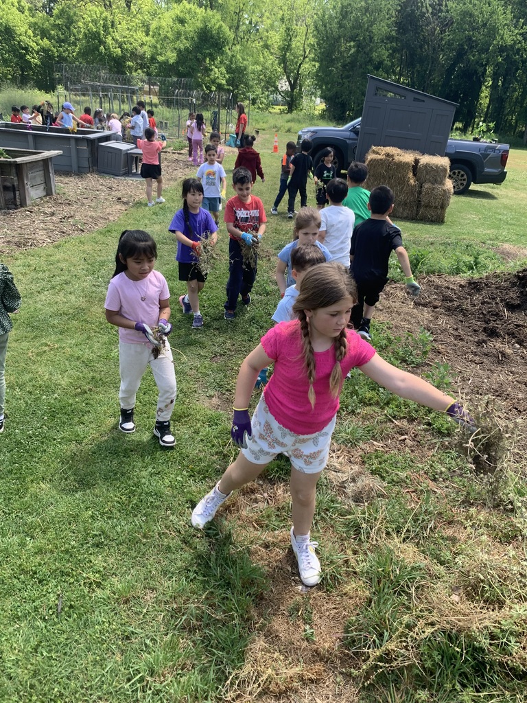 students cleaning out garden beds