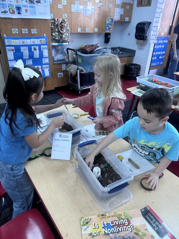 Kindergarten students digging in the dirt to find rocks 