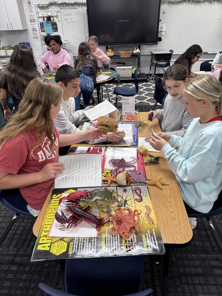 Students exploring invertebrates with animals toys 