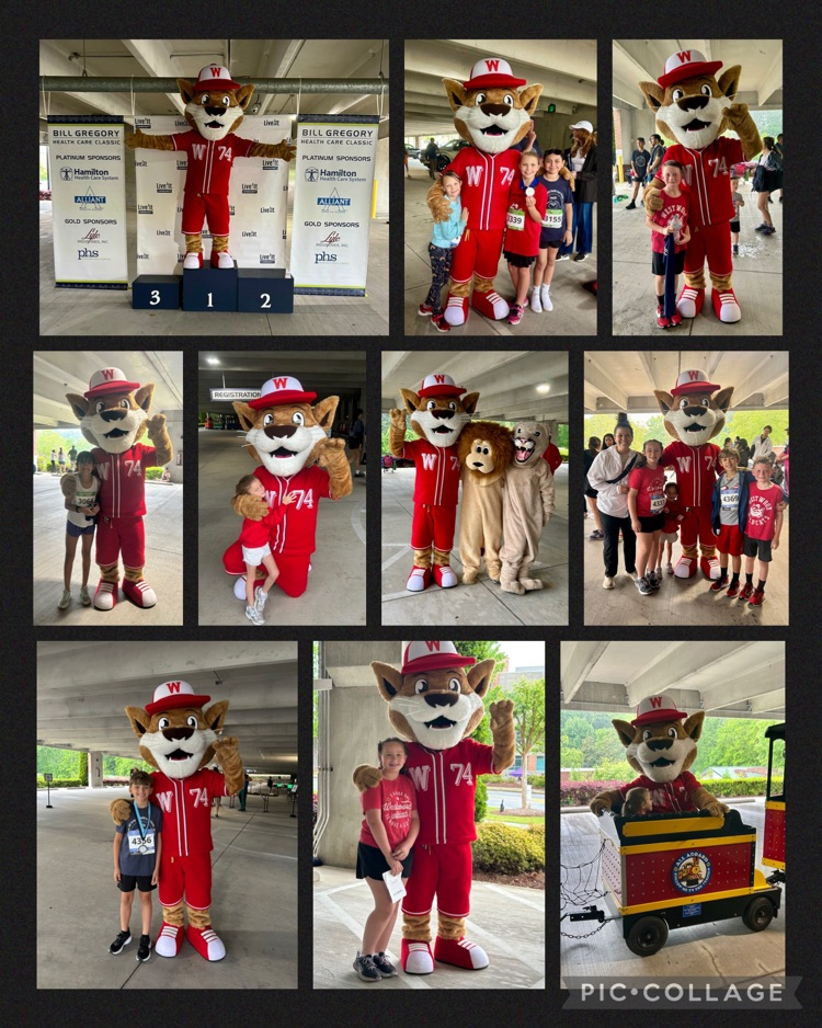 Collage of Westie, a school mascot in a red uniform, at a race event. Westie poses on a podium, waves, and takes photos with smiling students wearing race bibs and medals under a covered outdoor area.