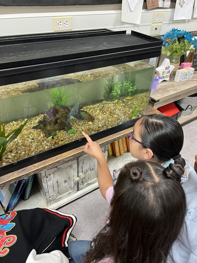 students viewing the large mouth bass