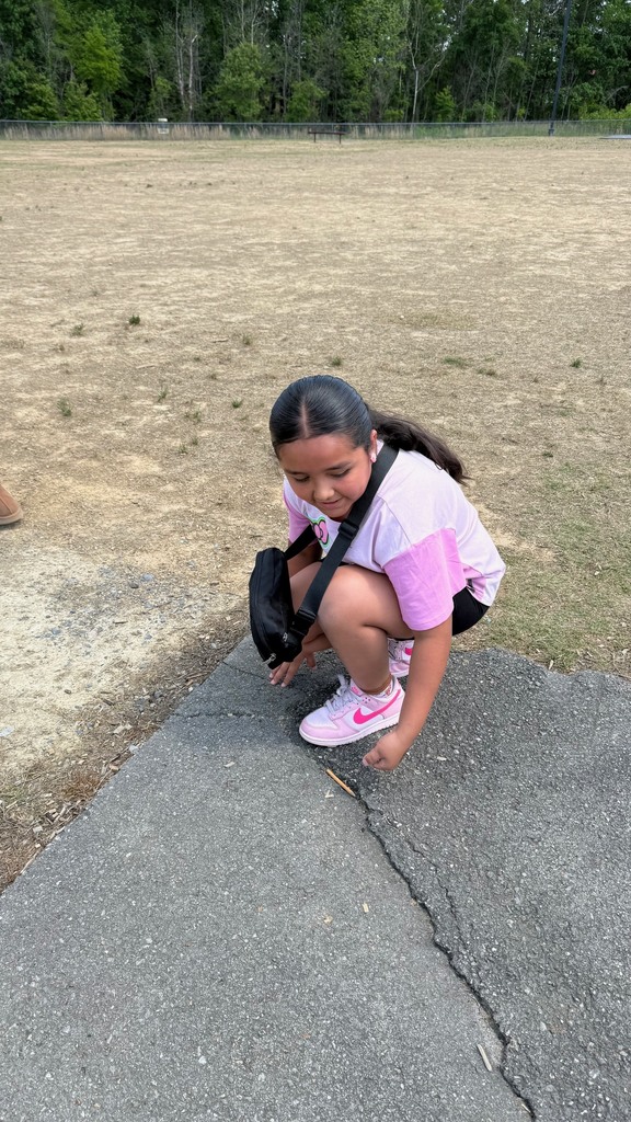 Photos of students and staff participating in Earth Day 2026