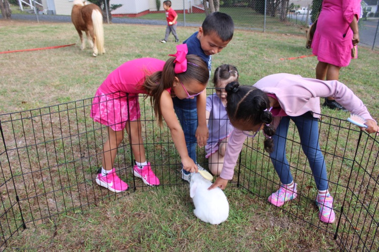 A group of students outside petting a rabbit inside a cage 