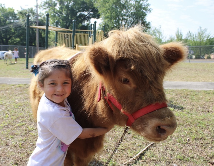 A girl hugging a small calf outside 