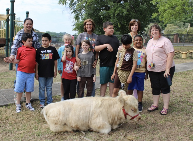 A group of teachers and students standing around the cow laying on the ground 