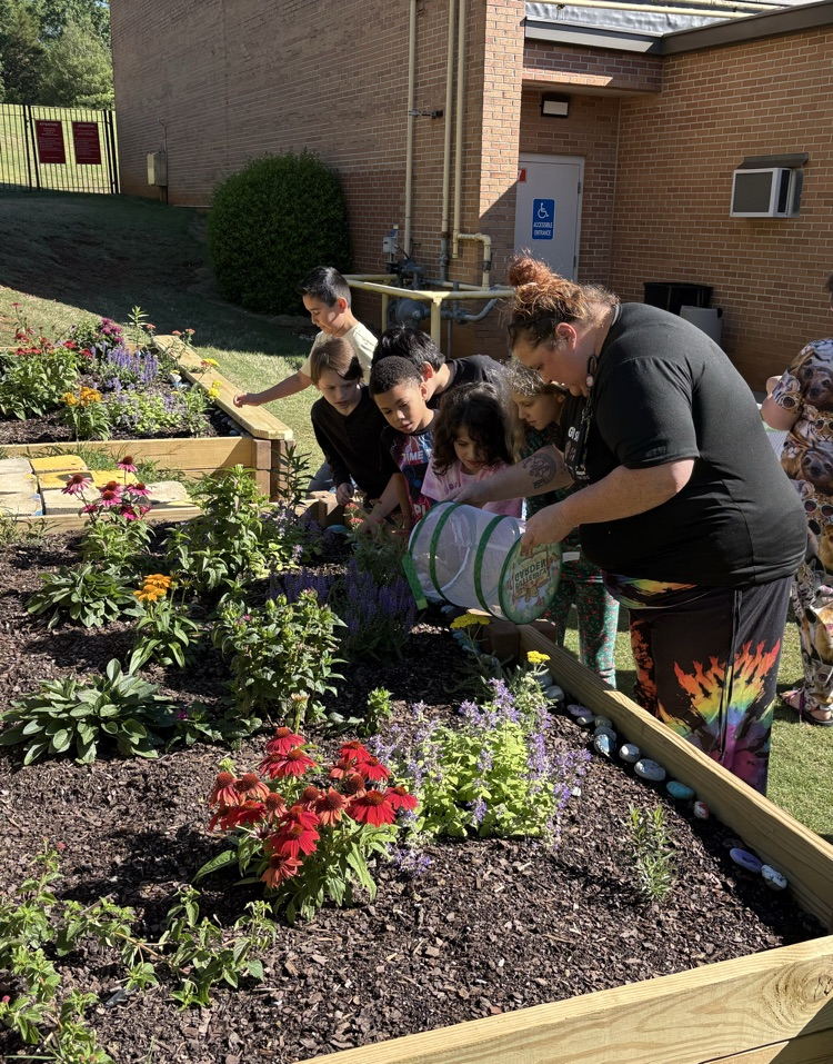 A teachers releasing the butterflies in the garden with four students standing next to her   