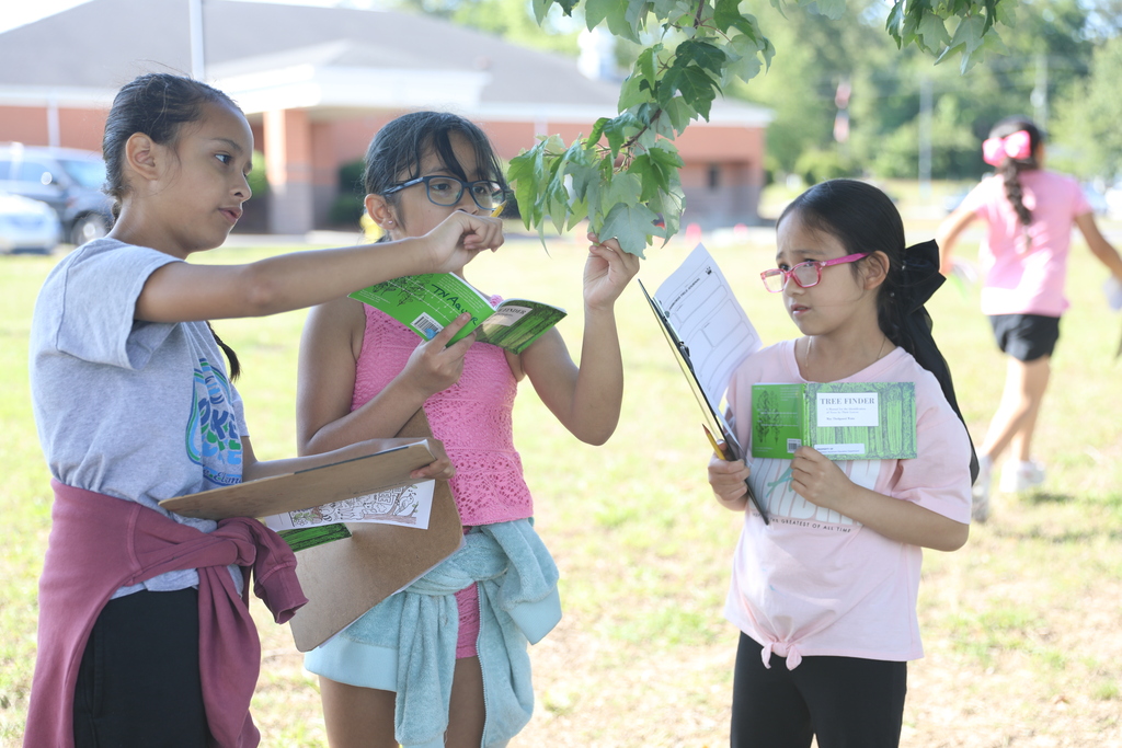 Three elementary-age students stand outdoors under a tree, closely examining leaves as part of a science or nature activity. Each child holds a small tree identification guide and clipboard while comparing the leaves to information in their books. The students wear casual summer clothing, and another child is visible in the background near a school building on a sunny day.