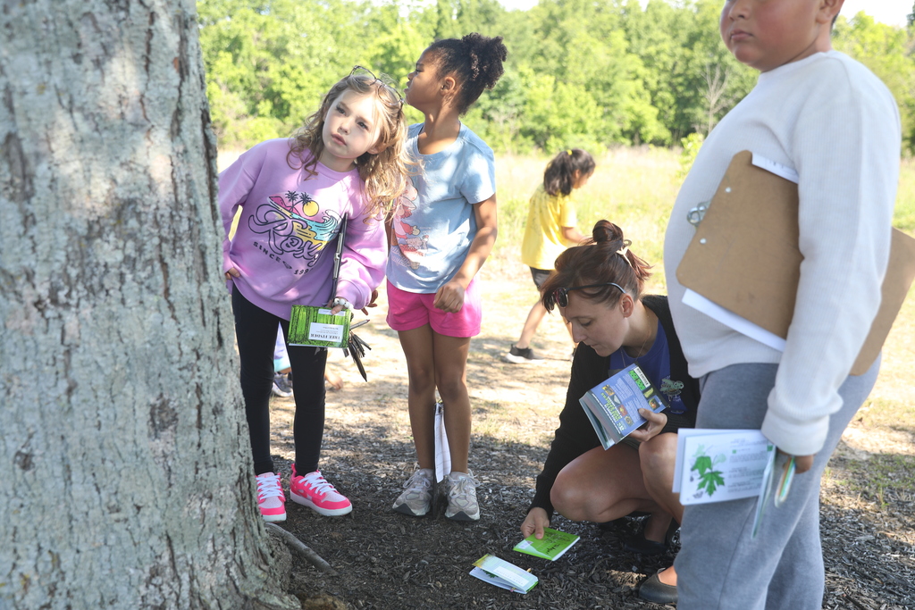 Several elementary-age students and a teacher participate in an outdoor tree identification activity near a large tree. The children hold clipboards and small field guides while closely examining the bark and surrounding area. One student leans toward the tree to inspect it more carefully, while the teacher kneels nearby with identification cards. The group is gathered in a sunny grassy area with trees and other students in the background.