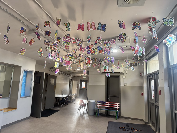 art installation photos
