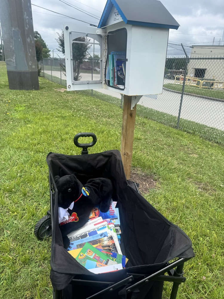 pawz filling little free libraries with books