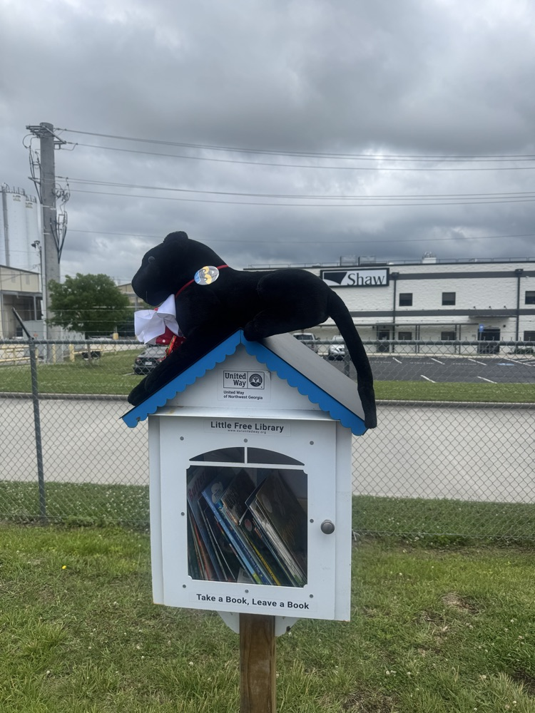pawz filling little free libraries with books
