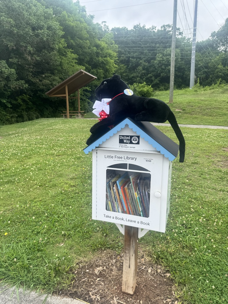 pawz filling little free libraries with books