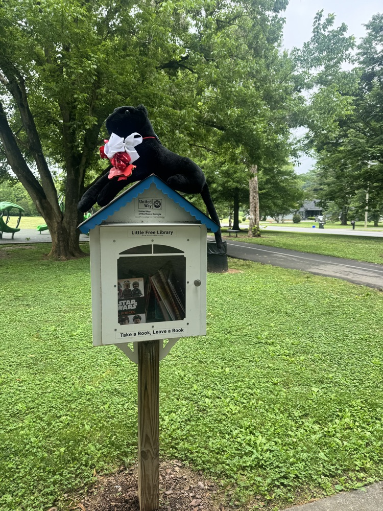 pawz filling little free libraries with books