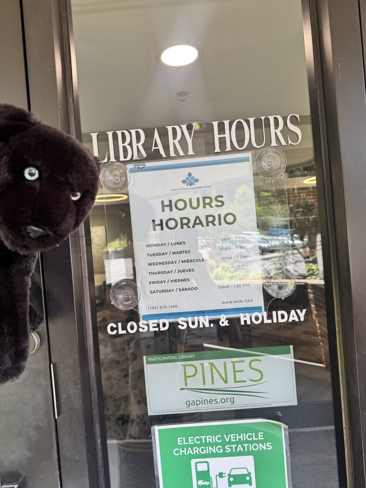 scout at the public library 